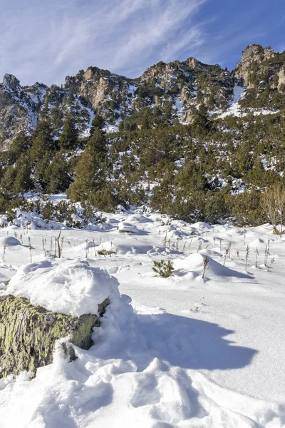 Increíble Paisaje Invernal Montaña Rila Cerca Del Pico Malyovitsa Bulgaria — Foto de Stock