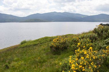 Belmeken Barajı 'nın muhteşem manzarası, Rila dağı, Bulgaristan
