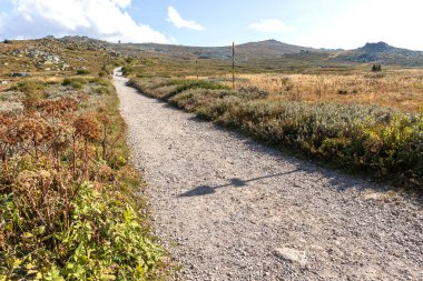 İnanılmaz Sonbahar Manzarası Vitosha Dağı, Sofya Şehir Bölgesi, Bulgaristan