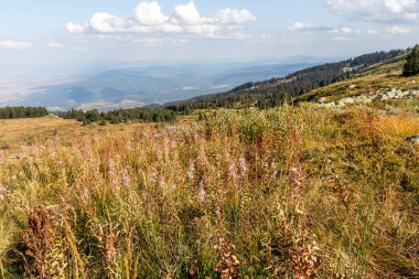 İnanılmaz Sonbahar Manzarası Vitosha Dağı, Sofya Şehir Bölgesi, Bulgaristan