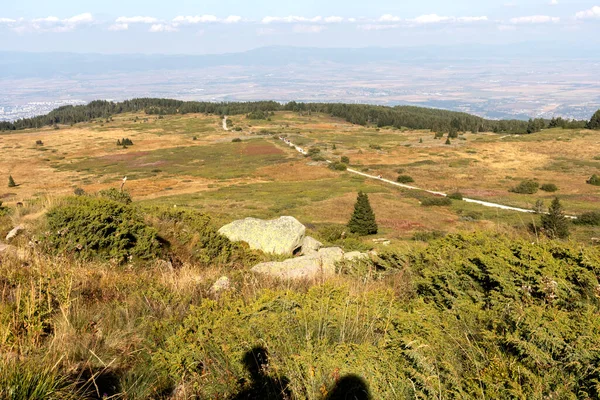 Amazing Autumn Landscape Vitosha Mountain Sofia City Region Bulgaria — Stock Photo, Image