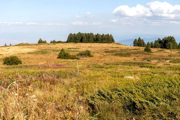 Incredibile Paesaggio Autunnale Vitosha Mountain Sofia City Region Bulgaria — Foto Stock