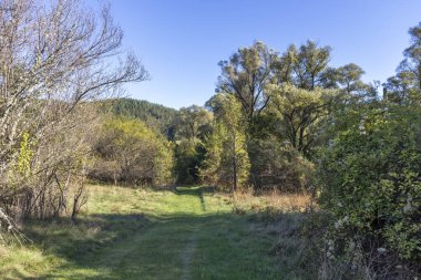 Nishava nehir boğazının sonbahar manzarası, Balkan Dağları, Bulgaristan