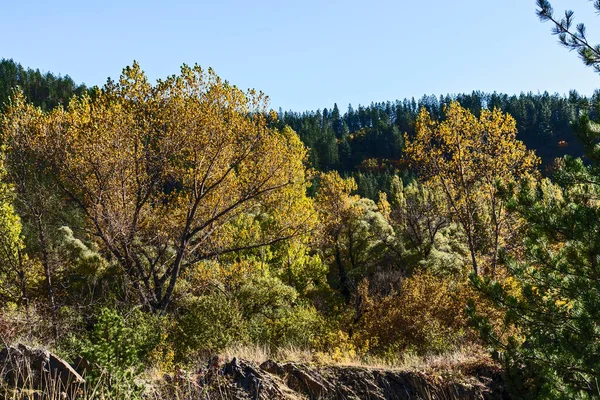 Podzimní Pohled Nišavskou Rokli Balkánské Hory Bulharsko — Stock fotografie