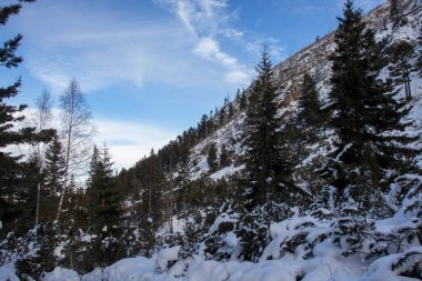 Bulgaristan 'ın Malyovitsa zirvesi yakınlarındaki Rila Dağı' nın şaşırtıcı kış manzarası