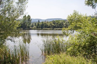 Pancharevo Gölü yaz manzarası, Sofya şehir bölgesi, Bulgaristan
