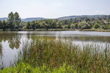 Pancharevo Gölü yaz manzarası, Sofya şehir bölgesi, Bulgaristan