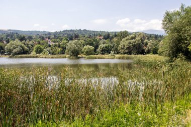 Pancharevo Gölü yaz manzarası, Sofya şehir bölgesi, Bulgaristan