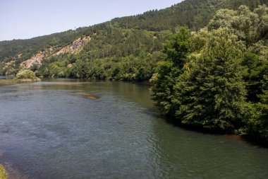 Pancharevo Gölü yaz manzarası, Sofya şehir bölgesi, Bulgaristan