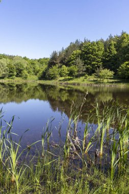 Bulgaristan 'ın Sofya Bölgesi, Lozenska Dağı' ndaki Sua Gabra Gölleri 'nin muhteşem manzarası