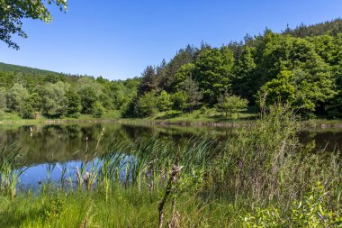 Bulgaristan 'ın Sofya Bölgesi, Lozenska Dağı' ndaki Sua Gabra Gölleri 'nin muhteşem manzarası