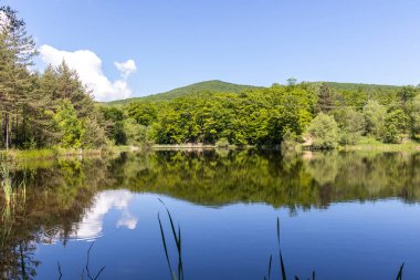 Bulgaristan 'ın Sofya Bölgesi, Lozenska Dağı' ndaki Sua Gabra Gölleri 'nin muhteşem manzarası
