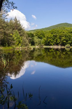 Bulgaristan 'ın Sofya Bölgesi, Lozenska Dağı' ndaki Sua Gabra Gölleri 'nin muhteşem manzarası