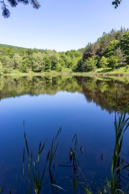 Bulgaristan 'ın Sofya Bölgesi, Lozenska Dağı' ndaki Sua Gabra Gölleri 'nin muhteşem manzarası