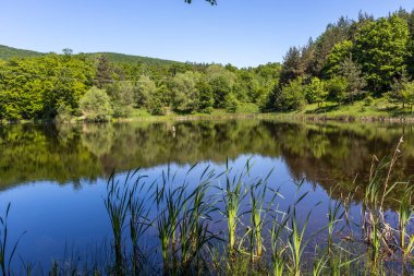 Bulgaristan 'ın Sofya Bölgesi, Lozenska Dağı' ndaki Sua Gabra Gölleri 'nin muhteşem manzarası
