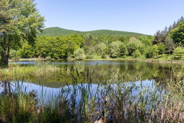 Bulgaristan 'ın Sofya Bölgesi, Lozenska Dağı' ndaki Sua Gabra Gölleri 'nin muhteşem manzarası
