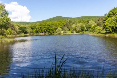 Bulgaristan 'ın Sofya Bölgesi, Lozenska Dağı' ndaki Sua Gabra Gölleri 'nin muhteşem manzarası