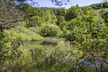 Bulgaristan 'ın Sofya Bölgesi, Lozenska Dağı' ndaki Sua Gabra Gölleri 'nin muhteşem manzarası