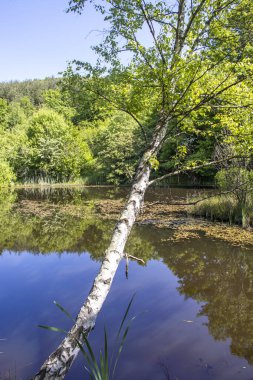 Bulgaristan 'ın Sofya Bölgesi, Lozenska Dağı' ndaki Sua Gabra Gölleri 'nin muhteşem manzarası