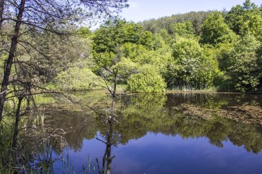 Bulgaristan 'ın Sofya Bölgesi, Lozenska Dağı' ndaki Sua Gabra Gölleri 'nin muhteşem manzarası