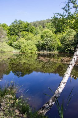 Bulgaristan 'ın Sofya Bölgesi, Lozenska Dağı' ndaki Sua Gabra Gölleri 'nin muhteşem manzarası
