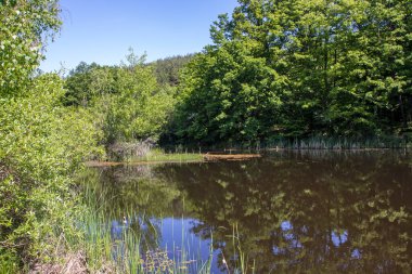 Bulgaristan 'ın Sofya Bölgesi, Lozenska Dağı' ndaki Sua Gabra Gölleri 'nin muhteşem manzarası