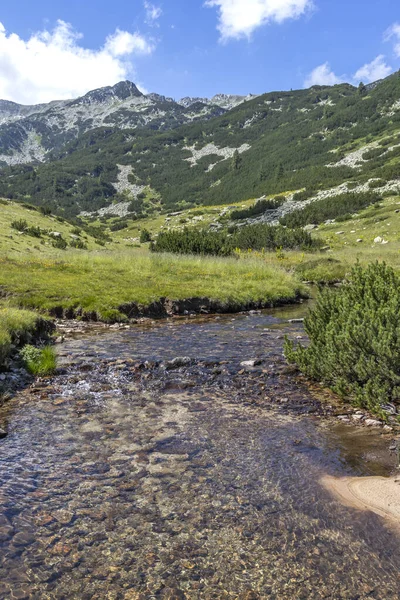 Amazing Landscape Dengan Sungai Banderitsa Pirin Mountain Bulgaria — Stok Foto