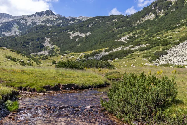 Increíble Paisaje Con Río Banderitsa Montaña Pirin Bulgaria —  Fotos de Stock