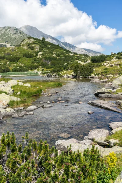 Amazing Landscape Dengan Sungai Banderitsa Pirin Mountain Bulgaria — Stok Foto