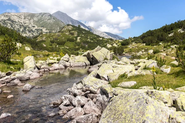 Amazing Landscape Dengan Sungai Banderitsa Pirin Mountain Bulgaria — Stok Foto