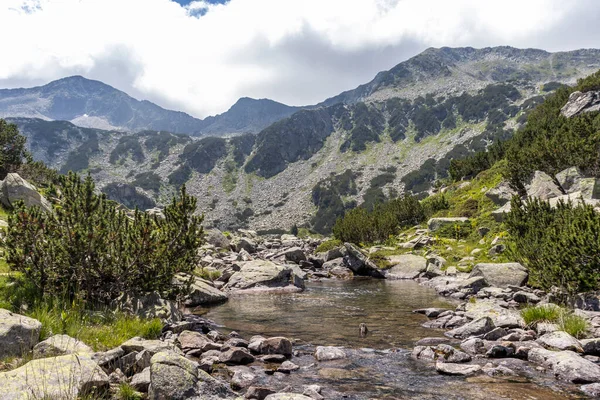 Increíble Paisaje Con Río Banderitsa Montaña Pirin Bulgaria — Foto de Stock