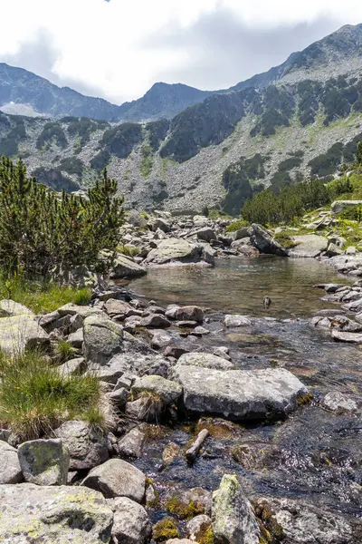 Paisagem Incrível Com Rio Banderitsa Montanha Pirin Bulgária — Fotografia de Stock