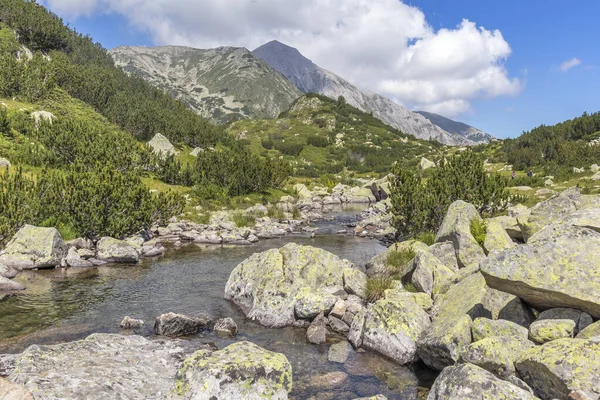 Paisagem Incrível Com Rio Banderitsa Montanha Pirin Bulgária — Fotografia de Stock