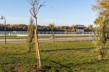 RUSE, BULGARIA - NOVEMBER 2, 2020: Bulgaristan 'ın Ruse kentinin merkezindeki Costal Caddesi Panoraması