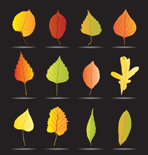 Fond de feuille d'automne et icônes — Image vectorielle