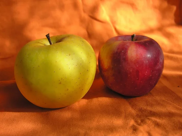 Äpple med gröna blad — Stockfoto
