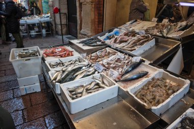 BOLOGNA, İtalya - 07 Aralık 2024: Bologna 'nın Eski Kasabası Panorama, Emilia-Romagna Bölgesi, İtalya