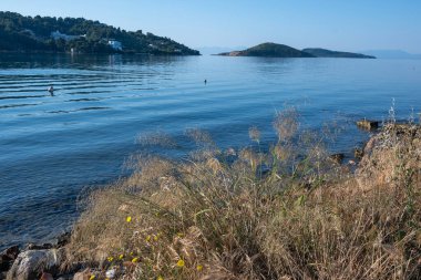Skiathos Town, Sporades, Thessaly, Yunanistan 'ın sahil sokağından Panorama