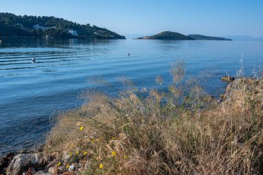 Skiathos Town, Sporades, Thessaly, Yunanistan 'ın sahil sokağından Panorama