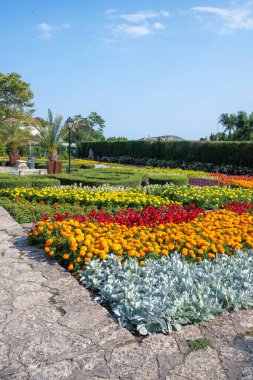 Bulgaristan 'ın Dobrich bölgesinin Balchik kentindeki Botanik Bahçesi' nin inanılmaz manzarası