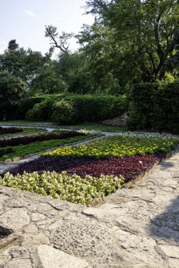 Bulgaristan 'ın Dobrich bölgesinin Balchik kentindeki Botanik Bahçesi' nin inanılmaz manzarası