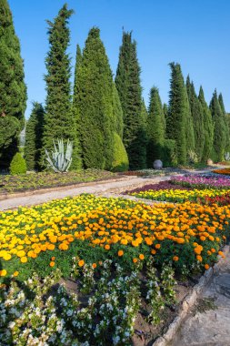 Bulgaristan 'ın Dobrich bölgesinin Balchik kentindeki Botanik Bahçesi' nin inanılmaz manzarası