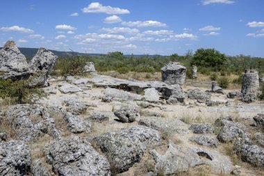 Pobiti Kamani (Upright Stones), Varna bölgesi, Bulgaristan