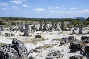 Pobiti Kamani (Upright Stones), Varna bölgesi, Bulgaristan