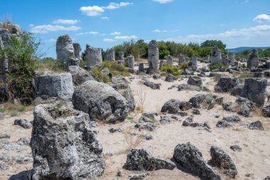 Pobiti Kamani (Upright Stones), Varna bölgesi, Bulgaristan