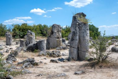 Pobiti Kamani (Upright Stones), Varna bölgesi, Bulgaristan
