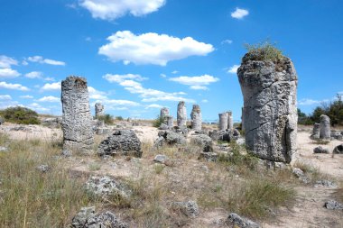Pobiti Kamani (Upright Stones), Varna bölgesi, Bulgaristan