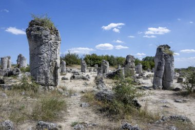 Pobiti Kamani (Upright Stones), Varna bölgesi, Bulgaristan