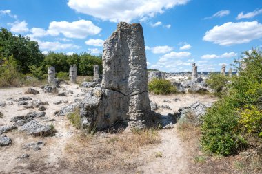Pobiti Kamani (Upright Stones), Varna bölgesi, Bulgaristan