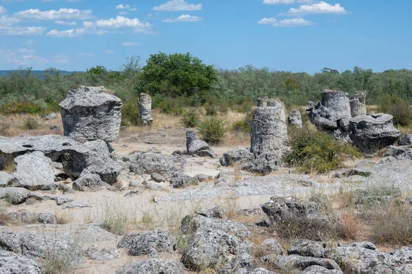 Pobiti Kamani (Upright Stones), Varna bölgesi, Bulgaristan